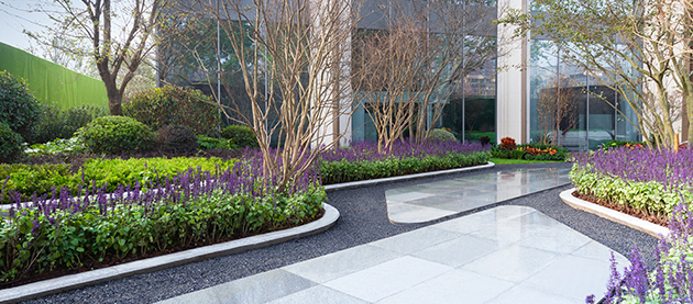 1586767813681762.jpg 6.jpg